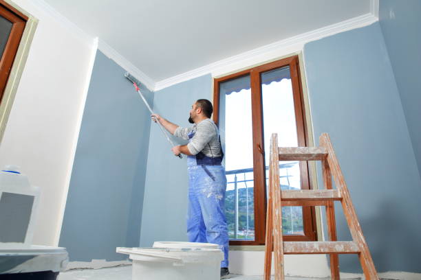 Best Exterior Painting Solutions  in USA